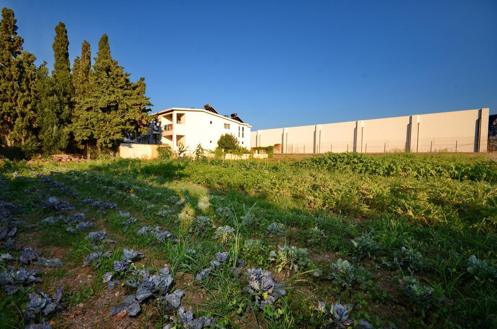 Aspro Spiti Hotel Apartments Tigaki Dış mekan fotoğraf